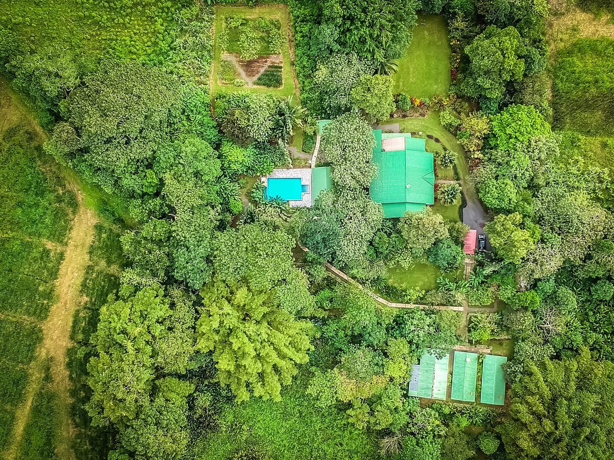 Tropical Paradise Bungalows Pital  Exterior photo